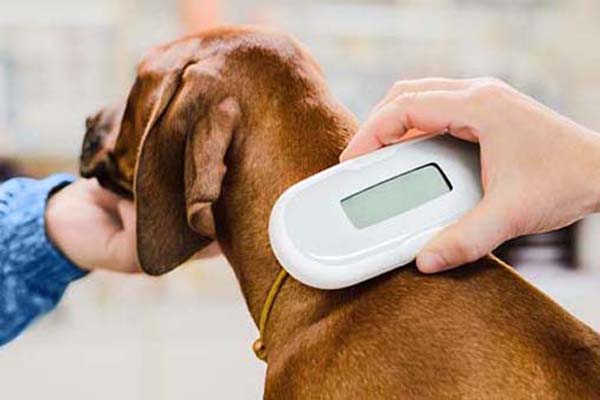 Pet Microchip Application and Registration